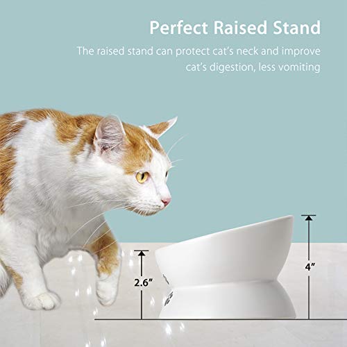 Cat Food Bowls, 10 OZ Elevated Cat Bowls for Cats and Small Dogs, Tilted Pet Feeder Bowl with Raised Stand Protect Cat's Spine, Ceramic Cat Water Bowl No-Spill, Stress Free Cat Dish 2pcs - color: White*2