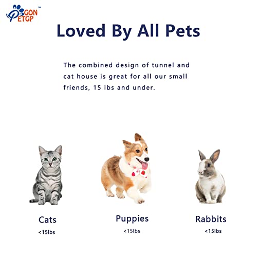 GONPETGP Cat Tunnel and Cubes Combo, Indoor Cat Tunnels with Play Ball, Interactive Crinkle Collapsible Tent and Cubes, All in One Set of 3 - color: Rainbow