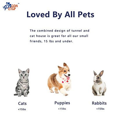 GONPETGP Cat Tunnel and Cubes Combo, Indoor Cat Tunnels with Play Ball, Interactive Crinkle Collapsible Tent and Cubes, All in One Set of 3 - color: Rainbow