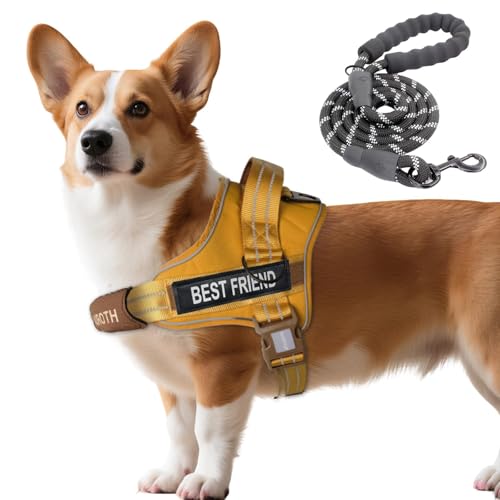 AUROTH Dog Harness and Leash Set, Soft Padded Service Dog Vest with 5.25FT Dog Leash, No Choke, Easy On Pet Vest, Adjustable Reflective No Pull Dog Harness Small Sized Dog, Easy Walking and Training - color: Turmeric, size: Small