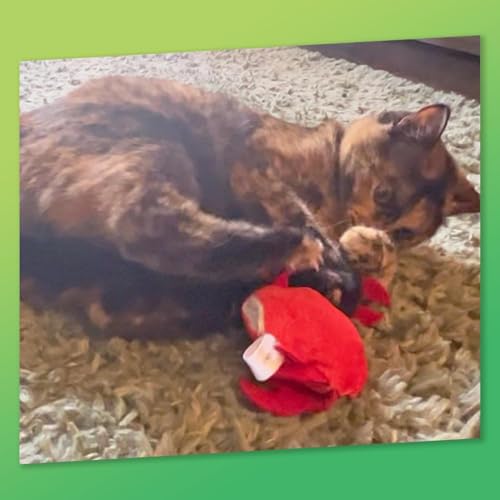 Jellyfish and Crab Toy Bundle | ZOOMIE Refillable Jellyfish and Crab Plush Catnip Toys | High Potency Hand Harvested Fresh Catnip | Soft Plush for Engaging Play - color: Jelly Fish & Crab