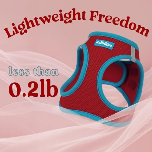 rabbitgoo Dog Harness Small Sized and Leash Set, Step-in Breathable Pet Harness, Soft Walking Reflective Puppy Vest for Small Dogs, Red & Teal, XXS - color: Red & Teal, size: XXS (Chest: 12.4 - 14.2")
