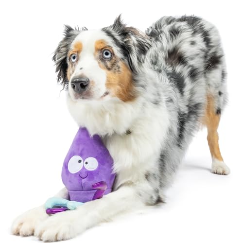 Huxley & Kent Slappies for Dogs | Squiggly Squid (Small) | Squeak & Shake Dog Toy | No Stuff Squeaky Toy, TPR Ball in Head | Simulates Hunting Nature for Dogs - size: Small, style: Squiggly Squid
