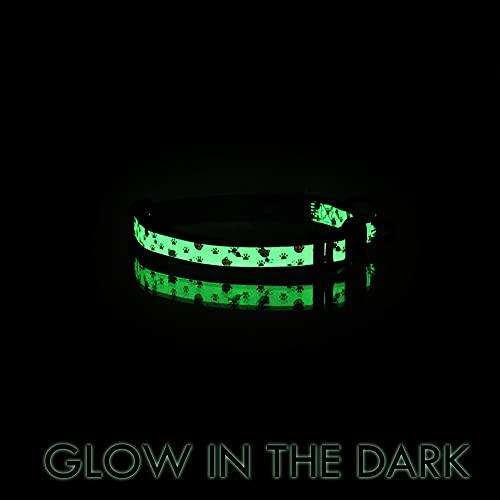 Pawtitas Glow in the Dark Cat Collar – Safety Buckle & Removable Bell, Adjustable Kitten Collar, Orange - color: GID Orange