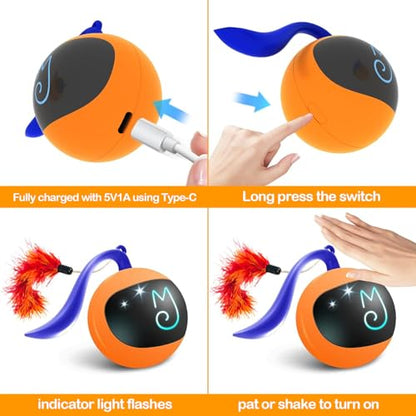 Migipaws Interactive Cat Ball Toy Set, Fun Tracker, Automatic Rolling Chase Ball with Fluffy Tail, A Small Mice, Rechargeable (Orange) - color: Orange