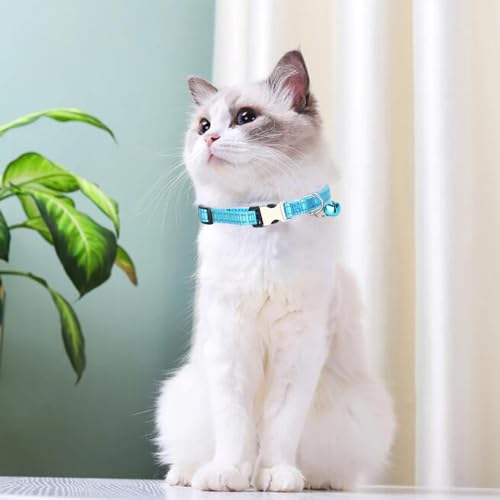 Light Blue Cat Collar with Bell, Reflective Nylon X-Small Puppy Collars Soft Adjustable Buckle for XXS XSmall Small Puppy Female Tiny Pets Dogs Boy Girl Kitten Yorkie Chihuahua XS - color: LIght Blue