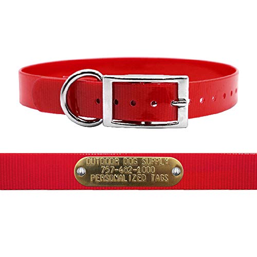 Outdoor Dog Supply 1" Heavy Duty Waterproof D-Ring Dog Collar for Medium & Large Dogs with Custom 3/4" Brass Nameplate (Red,18") - color: Red, size: 18" Long