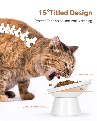 7 Inch Extra Wide Detachable Slow Feeder, Cat Bowl- Elevated Cats Feeder Tilted, Large Raised Cat Food Bowl Whisker Friendly, for Indoor Cats and Small Dogs Anti-Vomiting White - color: White