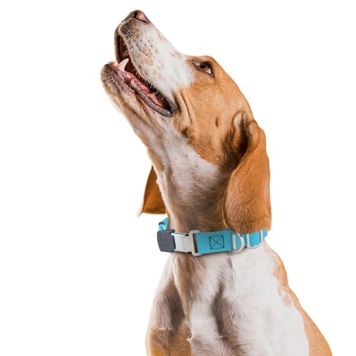 Biothane Waterproof Durable Dog Collar with Herm Sprenger - Quick Release ClicLock Buckle - Fits Medium and Large Dogs - Made in USA (Sky Blue, W 1" x L 15"-25") - color: Sky Blue, size: W 1" x L 15"-25"