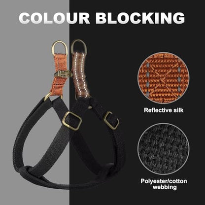 Didog Step in Dog Harness with Metal Buckles, Freedom Nylon Dog Halter Vests for Small Dogs Easy Walking Training(S:Chest 13-22", Black) - color: Black, size: S: Chest 14-22", Fit 7-18 lbs