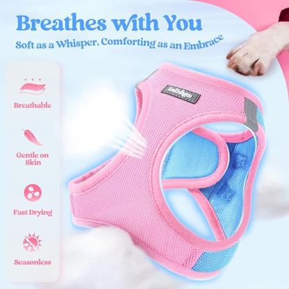 rabbitgoo Dog Harness Small Sized and Leash Set, Step in Soft Light Puppy Vest, Breathable Mesh Pet Harness, Reflective for Safe Easy Walking, Blue & Light Pink M - color: Blue & Light Pink, size: M (chest: 16 - 18.5")