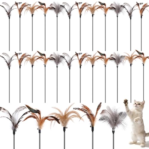 Leitee 25 Pcs Cat Wand Toy Feather Stick Cat Toy Bulk Feather Toys and Teaser Wand Bulk Interactive Stick for Indoor (Classical Color) - color: Classical Color