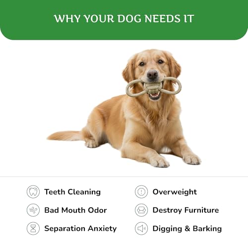 Natural Hemp Dog Rope Toy, Durable Chew and Tug Toy for Medium and Large Dogs, Biodegradable Dental Cleaning Pet Toy (Double Loop Ball) - size: Double Loop Ball