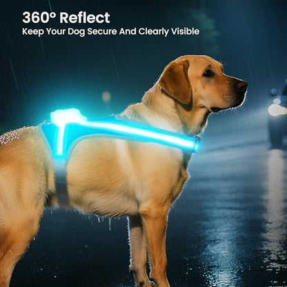 Light Up Dog Harness, Reflective Adjustable Dog Vest, No Pull Illuminated LED Harness for Dogs Night Walking Hiking Running, Waterproof,Lightweight(Large, Blue)