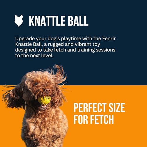 Fenrir - Dog Ball - High Bouncing Yellow Rubber for Fetch & Recall - 2.5 Inch Durable Floating Dog Toy - Water Retrievable Interactive Ball for All Breeds (Medium) - size: 2.5 inches