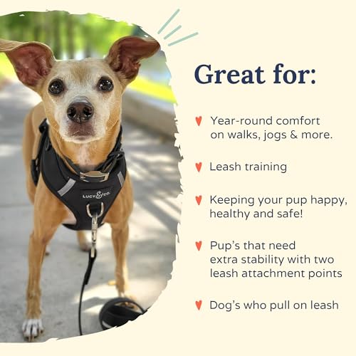 Lucy & Co. The Midnight No-Pull Dog Harness - Size Small - Vest to Stop Pulling & Walk Easy - Comfortable Leash Training Product w/Adjustable Chest & Neck Straps - color: The Midnight No-Pull Harness, size: Small