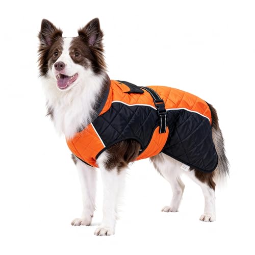 Dog Coat Dogs Jacket Waterproof Reflective Adjustable Dog-Winter Coats for Small/Medium/Large Dogs Dachshund Coat-(Orange, XXX-Large) - color: Orange, size: XXX-Large(chest 34~38in)