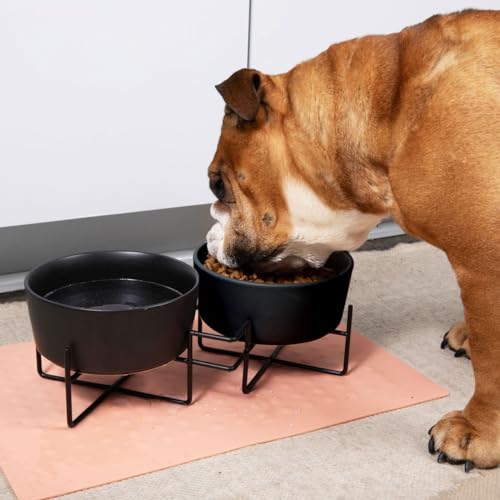 Waggo Simple Solid Double Dog Bowl Stand - Iron Stand with Ceramic Feeder and Water Bowl, Elevated Pet Feeder (Matte Black, Large) - size: Large