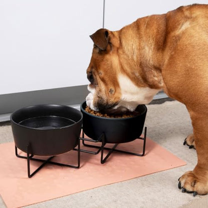 Waggo Simple Solid Double Dog Bowl Stand - Iron Stand with Ceramic Feeder and Water Bowl, Elevated Pet Feeder (Matte Black, Large) - size: Large