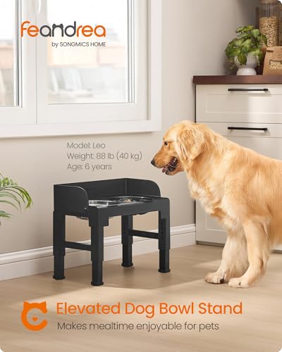 Feandrea Dog Bowls Elevated, Raised Stand with 1 Slow Feeder and Two 304 Stainless Steel Bowls, Adjustable Height and Tilted Design, Ink Black UPRB103B01 - color: Ink Black