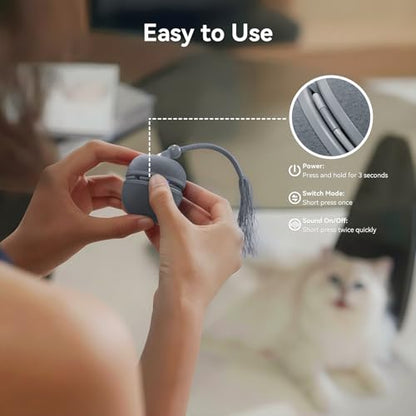 Cheerble 2 in 1 Interactive Cat Toys for Indoor Cats - Wicked Ball Duo2 Automatic Cat Toy, Dual Interchangeable Shells, Electric Cat Toy Ball with Chirping Sounds,Rechargeable Moving Kitten Toys, Blue - color: Blue