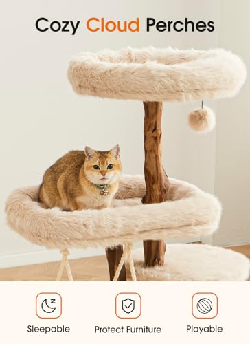 Letkind Modern Cat Tree Tower for Large Indoor Cats, Perches-Natural Solid Wood Cat Tower with Sisal Scratching Post, Perches, Hammock & PlayBalls, Aesthetic Boho Cat Furniture - size: 46" Wood Cat tree