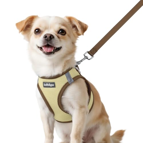 rabbitgoo Dog Harness Small Sized and Leash Set, Step-in Breathable Pet Harness, Soft Walking Reflective Puppy Vest for Small Dogs, Beige & Coffee, XXS - color: Beige & Coffee, size: XXS (Chest: 12.4 - 14.2")