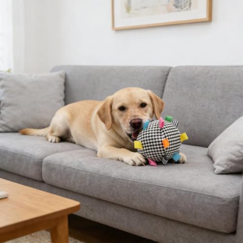 Plush Dog Ball Toy with Bell & Colorful Straps, 6.3 Inch Soft Interactive Fetch Toy, Lightweight Chew Toy for Small & Medium Dogs, Puppy Stuffed Play Ball (Black) - color: Black