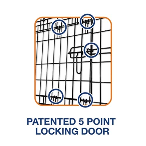 Precision Pet Products Two Door Great Crate Wire Dog Crate, 36 Inch, For Pets 50-70 lbs, With 5-Point Locking System - size: 36.0"L x 23.0"W x 25.0"H
