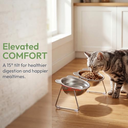 Stainless Elevated cat Bowls 5.9 Inch with Metal Stand Slip Resistant Base 15 Degrees Tilted Raised Pet Dishes Double Bowl Design Food and Water Dish for Cats Kitten Small Dog (Integrated Bowls) - color: Integrated Bowls