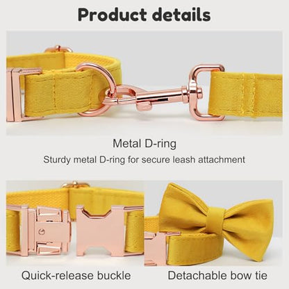Personalized Velvet Dog Collar with Name - Custom Engraved Buckle, Adjustable Luxury Velvet Collar for Small Medium Large Dogs (Lemon, M) - color: Lemon, size: M
