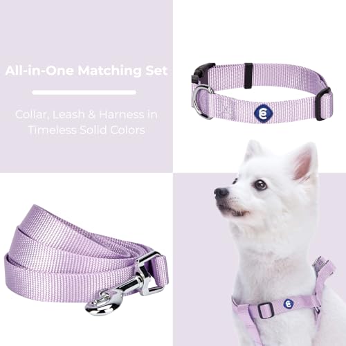 Blueberry Pet Essentials Matching Harness, Collar & Leash Set in Lavender, Adjustable Nylon for Medium & Large Breeds - color: Lavender - Collar + Leash + Harness, size: Large
