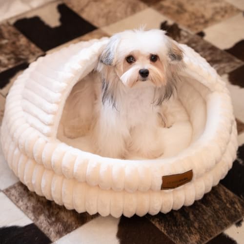 Cat Cave Bed for Indoor Cats, Washable Covered Cat Bed Hooded Kitty Bed Soft Fluffy Pet Bed for Puppy and Small Dog(White) - color: White