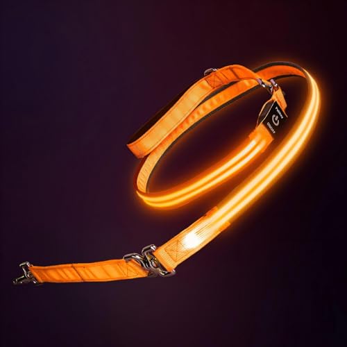 Night Walking LED Dog Leash - 6FT Reflective & Waterproof Light Up Safety Leashes for Dogs - USB Rechargeable, Orange - color: Orange(Fiber optic version)