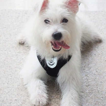 Pet Dog Vest Harnesses Puppy Cotton Polyester Adjustable Dog Mesh Harness Travel Chest Strap Vest Reflective (L, Black) - color: Black, size: L