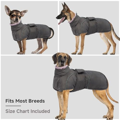 Dog Winter Coat for Small to Large Dogs(XS-XXXL)– Waterproof Windproof Fleece Lined Jacket with Reflective Trim,Pet Vest with Adjustable Buckles, Machine Washable Grey XS - color: Grey, size: X-Small