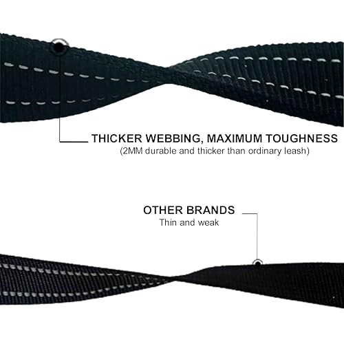 Dual Padded Handle Standard Dog Leashes with Reflective Stitching,360° Rotatable Heavy Duty Metal Buckle,D-Ring,Durable Nylon,for Medium Sized Dogs from 20 to 60 Pounds Walking and Training Black 5Ft - color: Black, size: 5Ft