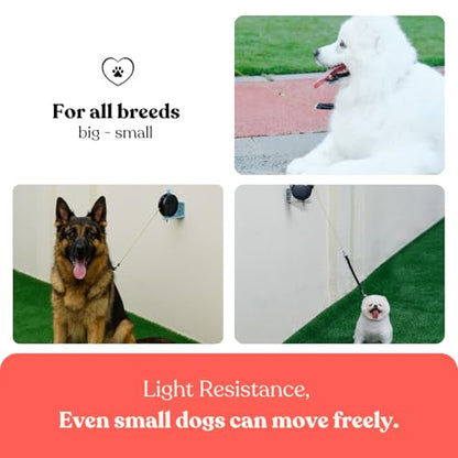 Heavy Duty Wall Mount Retractable Dog Tie out Cable for Small to Large Dogs-No Tangle Tie out Rope for Secure Yards/Garden-Heavy Duty Retractable Dog Leash-Ultimate Line for Outside Extends to 16.5 Ft - style: Wall Mount