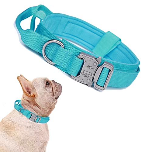 Tactical Dog Collar Adjustable Military Nylon Dog Collar with Control Handle and Heavy Duty Metal Buckle for Medium and Large Dogs (Blue,S) - color: Blue, size: Small (Pack of 1)