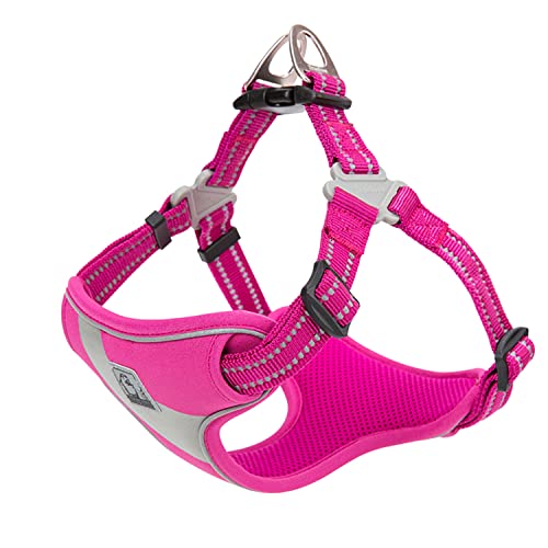 TRUE LOVE Dog Harness TLH5991 Anti Pull Safety Vest Step-in Style Harness for More Comfort and Less Tug Reflective Pet Harness by Truelove Fushcia - color: Fushcia, size: S