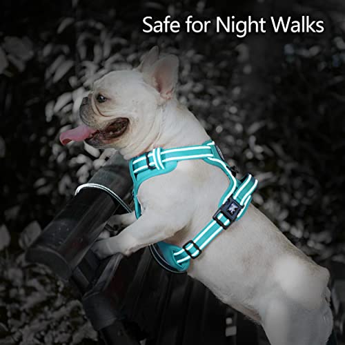 PoyPet No Pull Dog Harness, No Choke Reflective Dog Vest, Adjustable Pet Harnesses with Easy Control Padded Handle for Small Medium Large Dogs(Mint Blue Matching Trim,XS) - color: Mint Blue(Matching Trim), size: XS