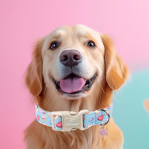 Valentines Dog Collar for Small Dogs - Valentine Candy Hearts Dog Collars, Love Boy Girl Dogs Collars, Lightweight Adjustable Cute Blue Puppy Collar with Quick-Release Buckle XS - color: Candy Heart, size: XS