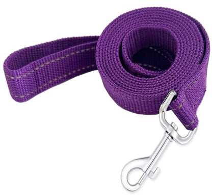 Reflective Dog Leash 4Ft /5 Foot /6 Feet Long, 1 Inch Wide, for Small and Medium Dogs - color: Reflective Purple, size: 1'' x 4 FT