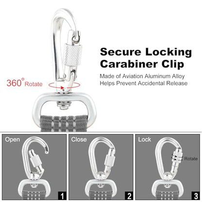 Plutus Pet Heavy Duty Dog Leash with Lockable Aluminum Carabiner, 4/6 Feet Long, Double-Sided Reflective Nylon, Padded Handle, for Puppy, Small, Medium and Large Dogs (Gray, 4/5" x 6') - color: Gray, size: 4/5" x 6'