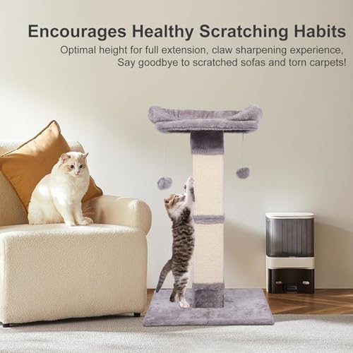 34" Tall Cat Scratching Post with Bed, Sisal Scratch Posts Trees with Plush Perch and Hanging Ball for Indoor Cats, Removable Cover, Large Scratch Post and Base, Rugged and Durable, Light Grey - color: Light grey