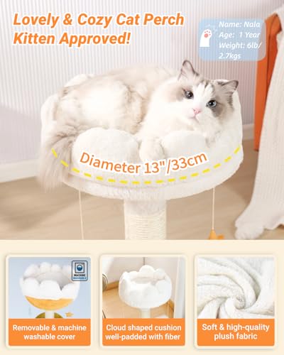 Happi N Pets Cloud Cat Tree, Cat Scratching Post with Bed, Small Cat Tree for Kittens, Cat Scratch Post with Cloud-Shaped Soft Perch & Cute Toys, Removeable Cover, Bonus Catnip - size: 22" with Scratching Post