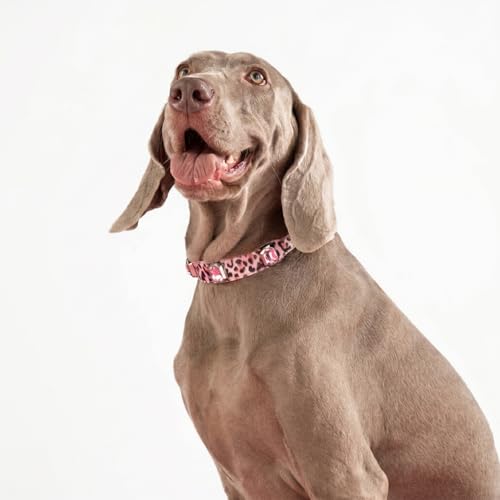 Luxury K9 Crystal Dog Collar -Waterproof Wear-Resistant Microfiber Leather with Hand-Set Rhinestone Gems, Durable Metal Buckle, Adjustable Bling Collar for Small Medium Large Dogs (Pink Leopard, L) - color: Pink Leopard, size: L(FIT,NECK:14.5"-18")