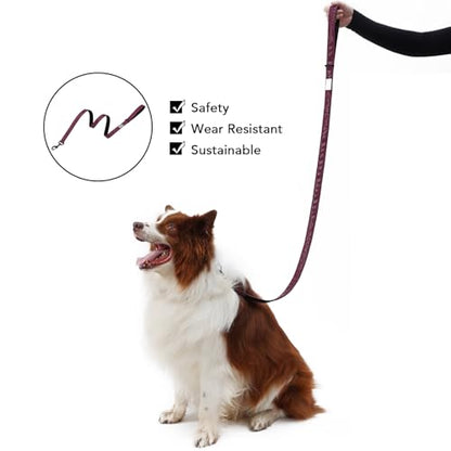 Soft Leather 4ft Dog Collar and Leash Set,Stylish 4ft PU Leather Dog Training Leash, Adjustable Durable Pet Collars with Quick Release Buckle for Large Dogs,Medium Dogs,Terracotta (red-Brown, 4 feet) - color: red-brown