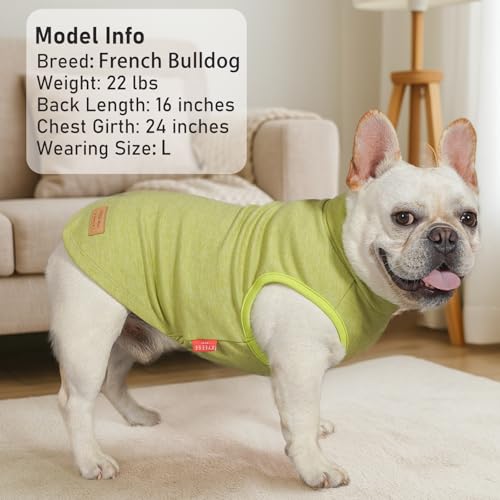KYEESE 2Pack Dog Sweater Stretchy Dogs Clothes Soft Pets Clothes Warm Pet Coats Dog Sweaters for Small Dogs Male Turtleneck Small Pet Sweaters Pullover Pets Sweatshirt - color: 4# Stripe+Green, size: Large (12-18lbs)