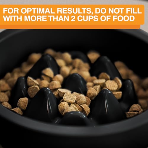 The Niner Slow Feed Bowl - Raised Peaks Slow Down Pets Eating - Fits Elevated Feeders Including Neater Feeder Large Sizes - Gentle on Teeth and Gums - Holds up to 2 Cups (Black) - color: Black